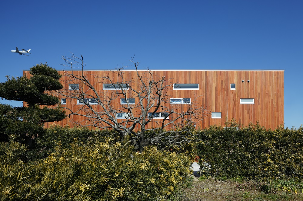 RHYTHM and Plum tree